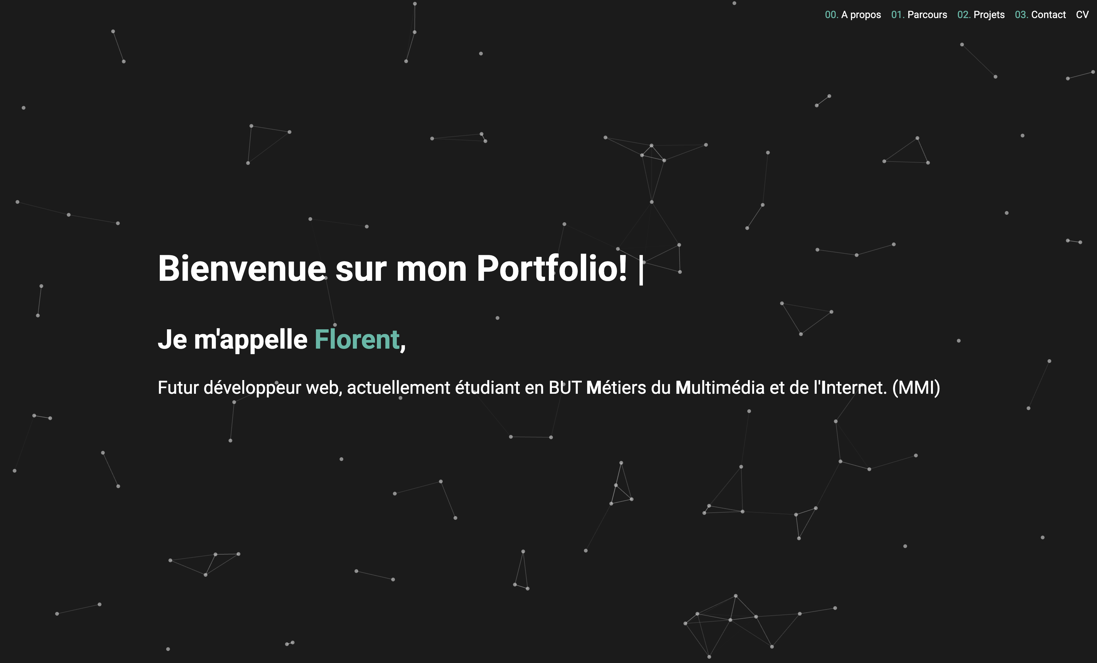 Image d'illustration de mon portfolio